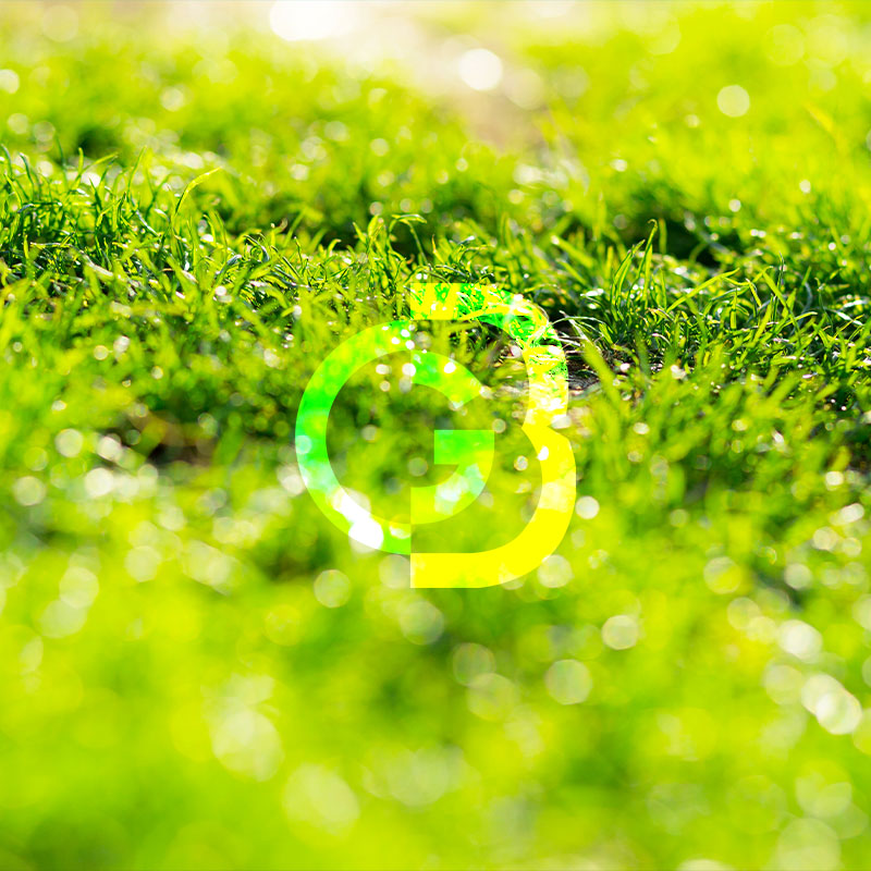 Control de yerba en baldíos